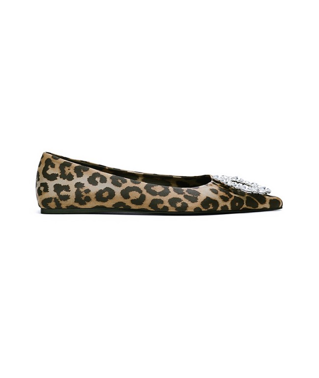 Pointed Leopard Print Flats